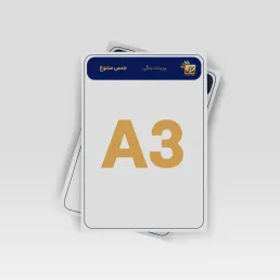 A3